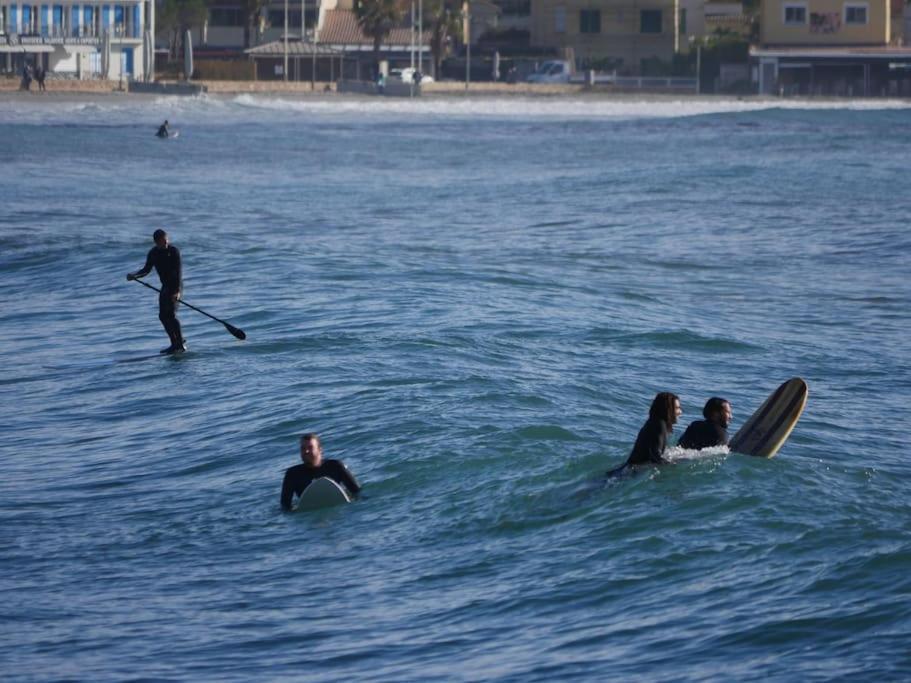 Le Calypso Les Pieds Dans L'eau 10 M *