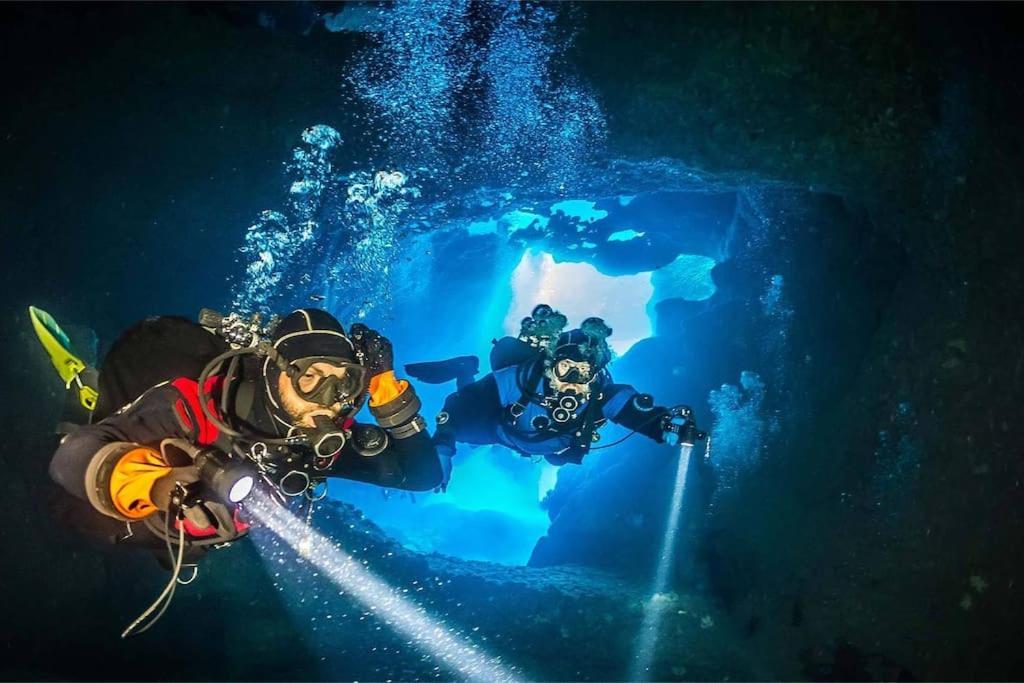 Le Calypso Les Pieds Dans L'eau 10 M Appartement